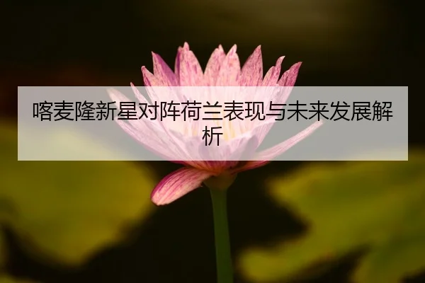 喀麦隆新星对阵荷兰表现与未来发展解析
